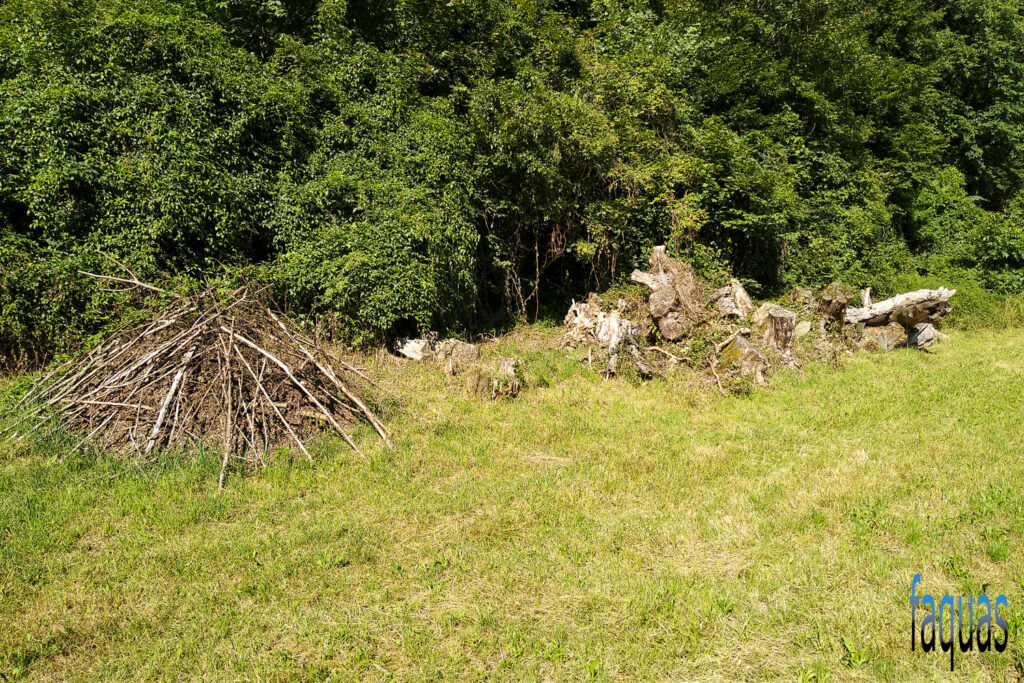 Äskulapnatter, Zamenis longissimus, Schutzmaßnahmen, Artenschutz, Naturschutz