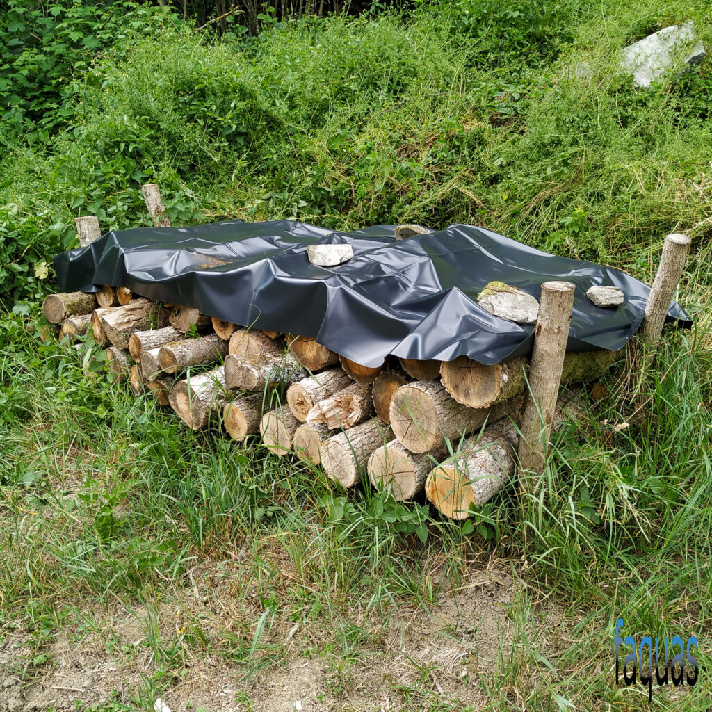 Äskulapnatter, Zamenis longissimus, Holzstapel, Naturschutzmaßnahme